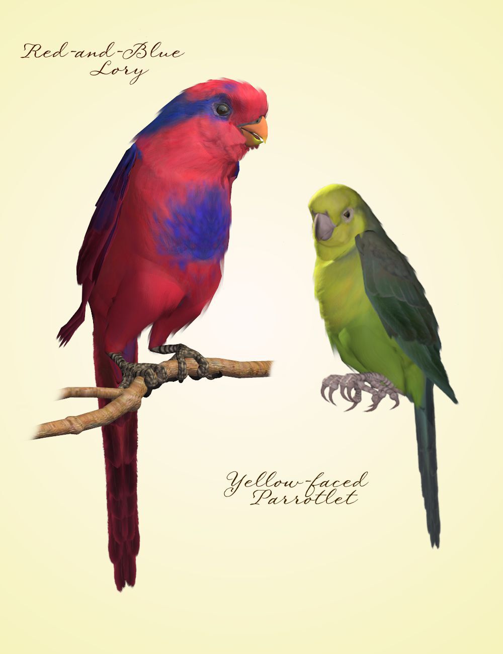 Songbird ReMix Parrots Vol 1 - Parrots of the World by N/A