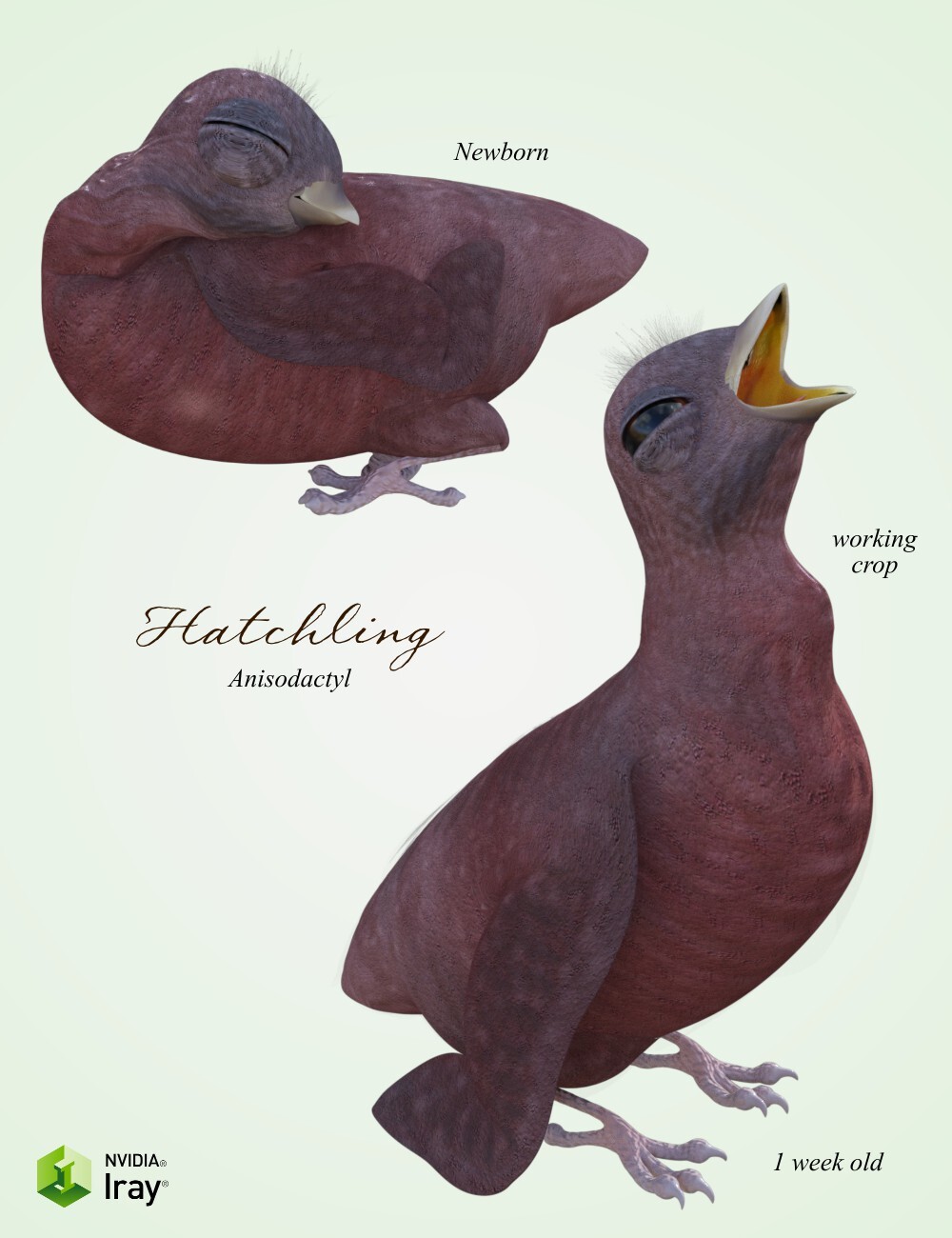 Songbird ReMix Motherhood by N/A