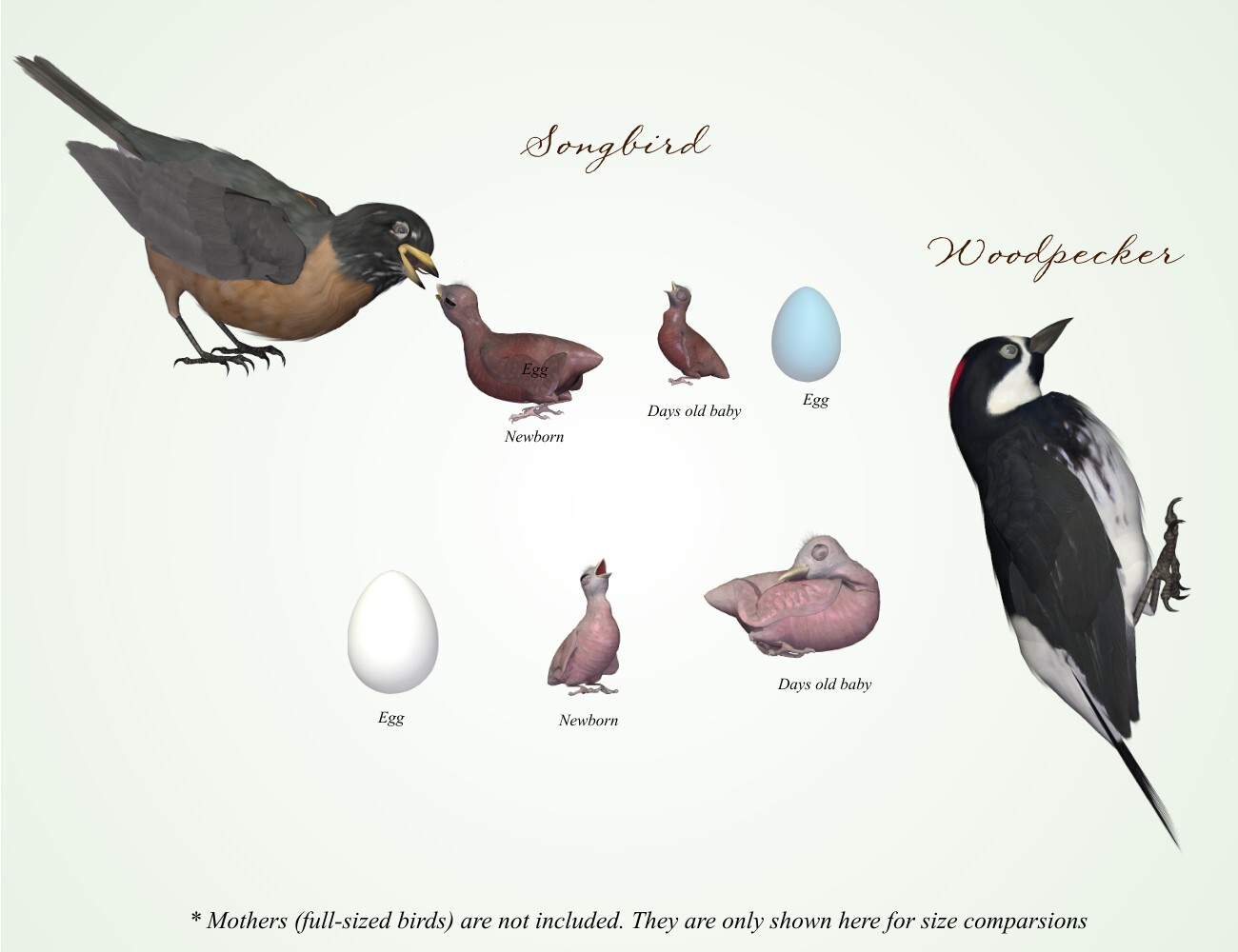 Songbird ReMix Motherhood by N/A