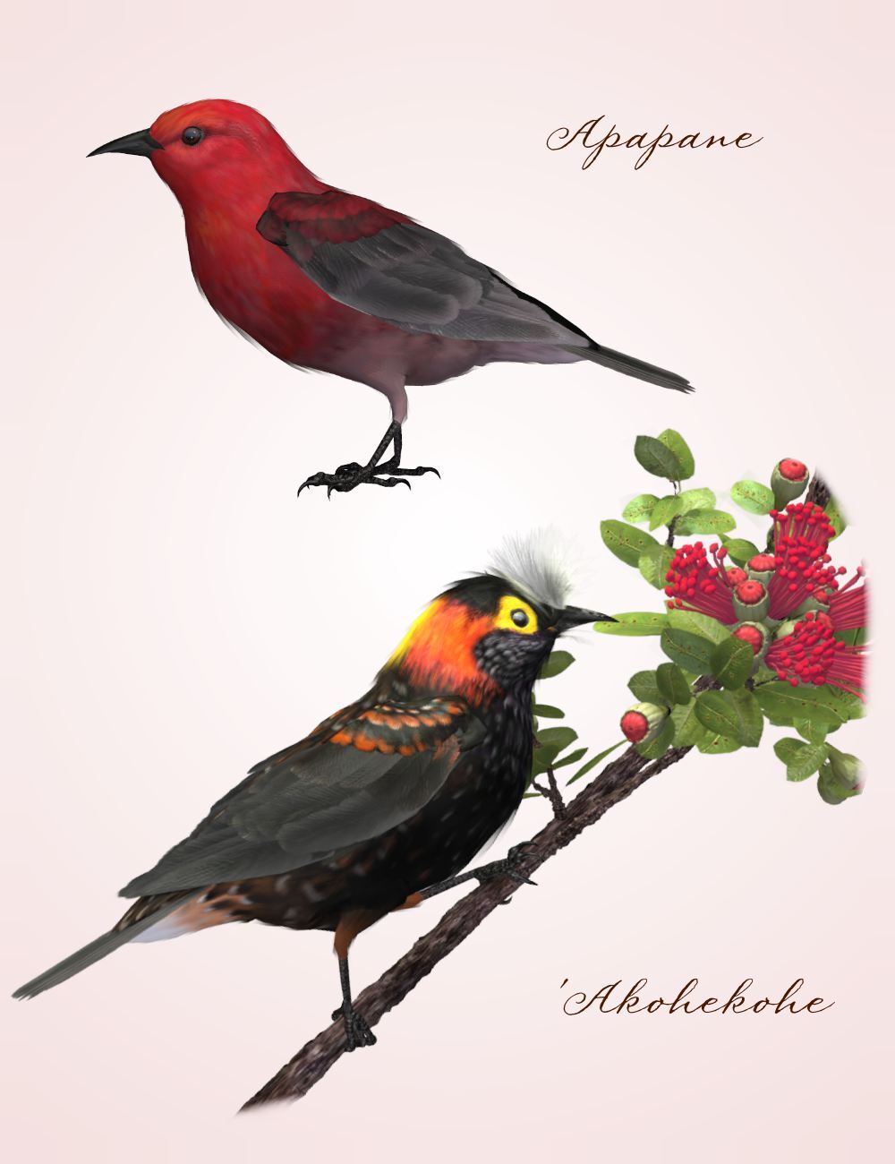 Songbird ReMix Cool & Unusual 2 by N/A