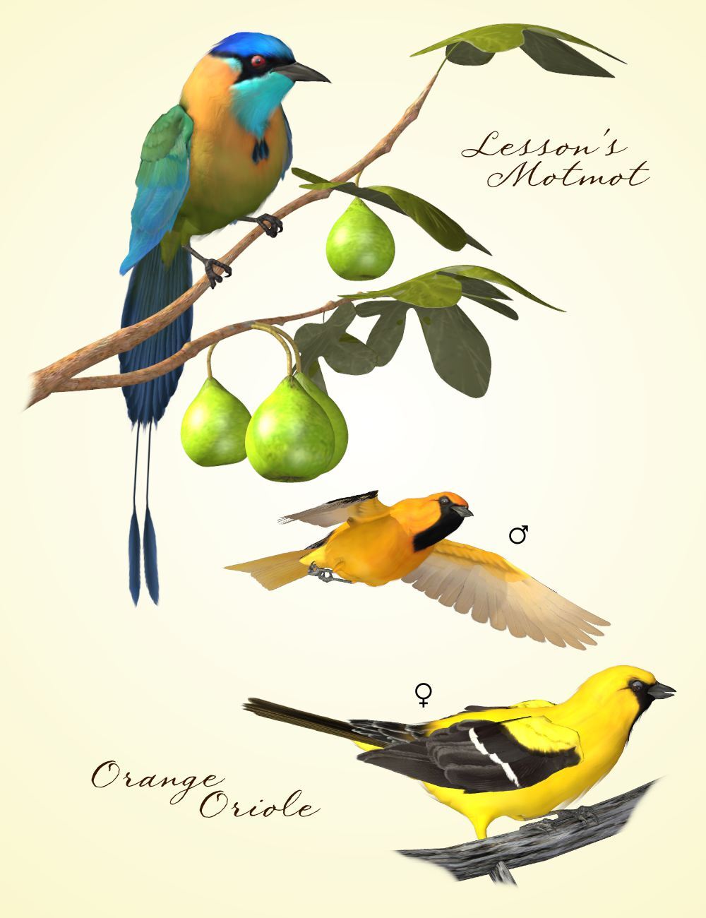 Songbird ReMix Yucatan by N/A