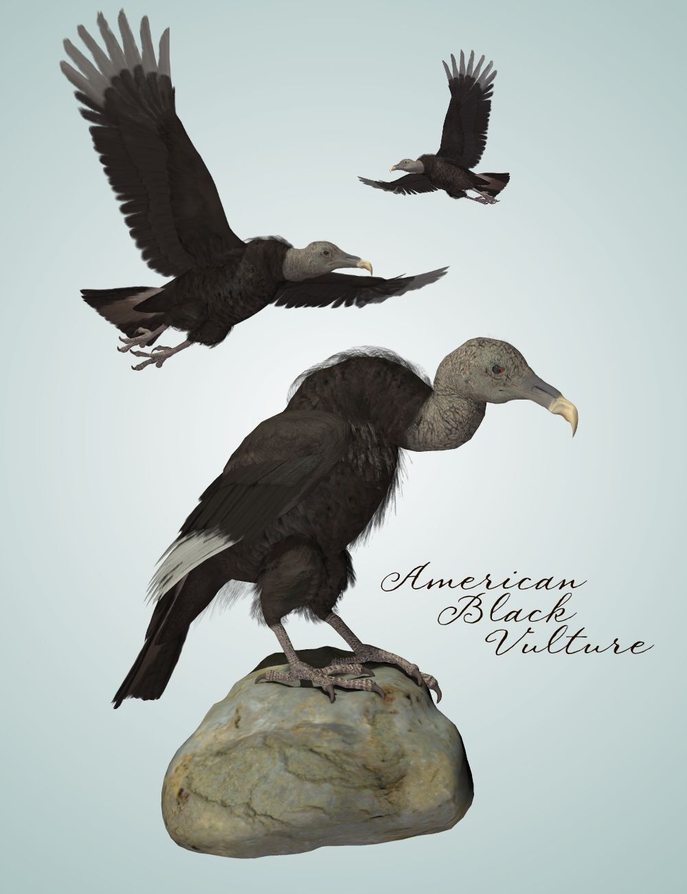 Songbird ReMix Vultures by N/A