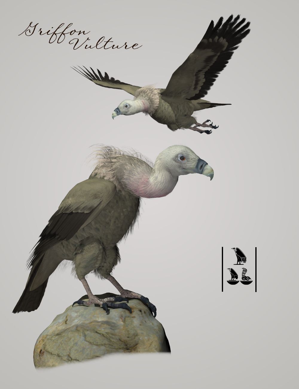 Songbird ReMix Vultures by N/A