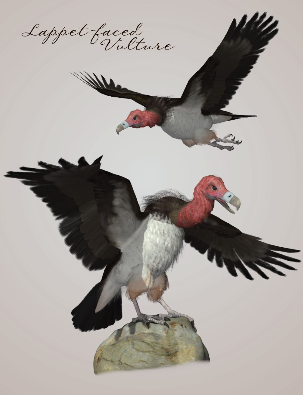 Songbird ReMix Vultures by N/A