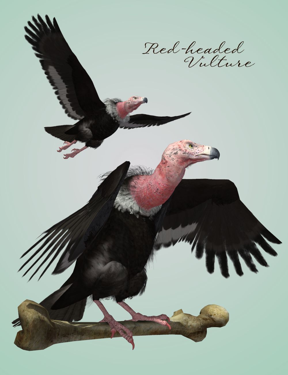 Songbird ReMix Vultures by N/A