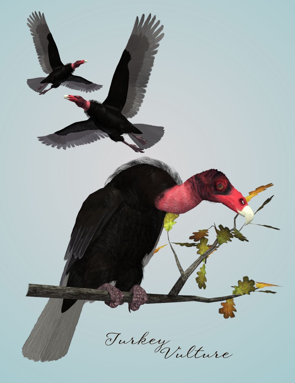 Songbird ReMix Vultures by N/A