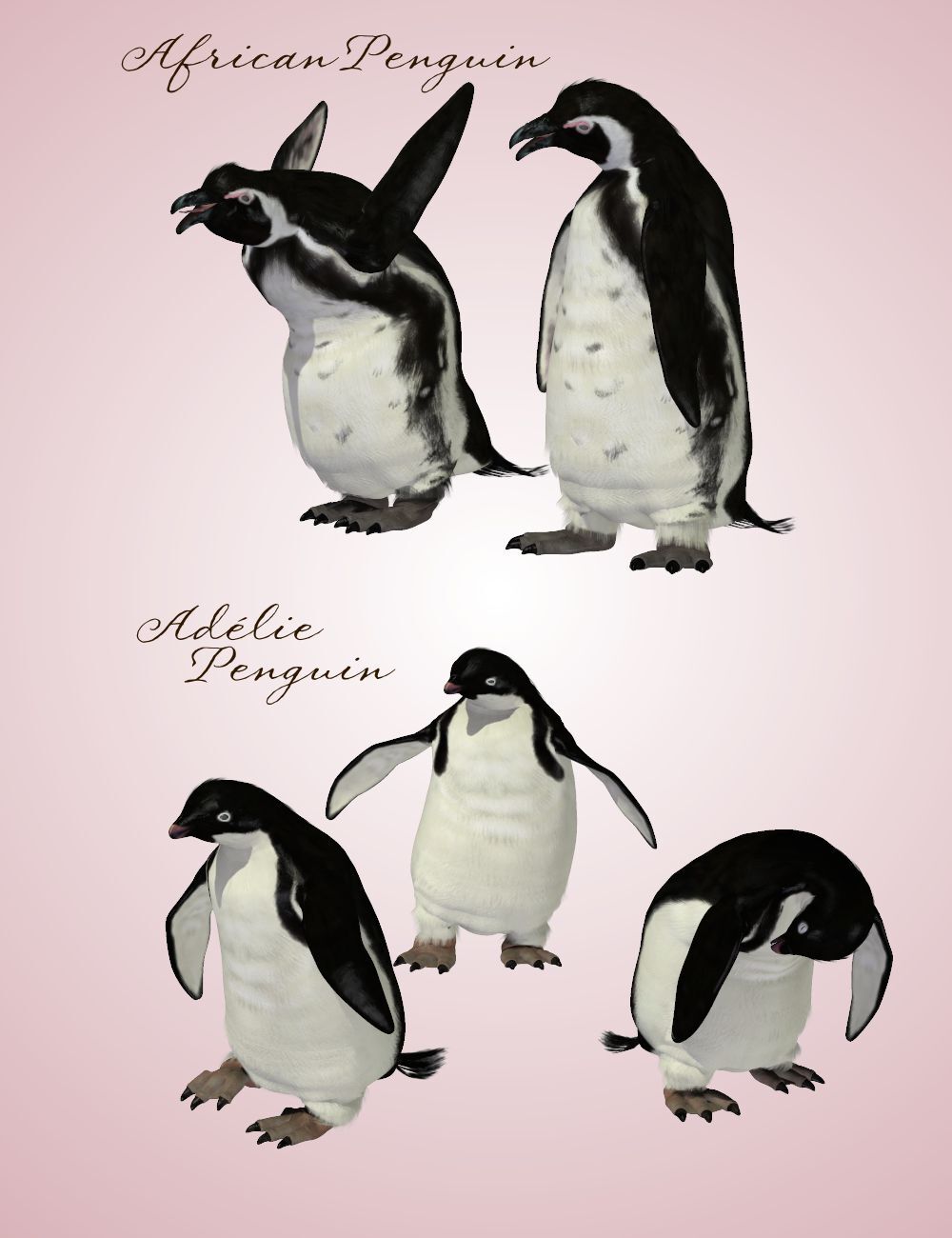 Songbird ReMix Penguins by N/A