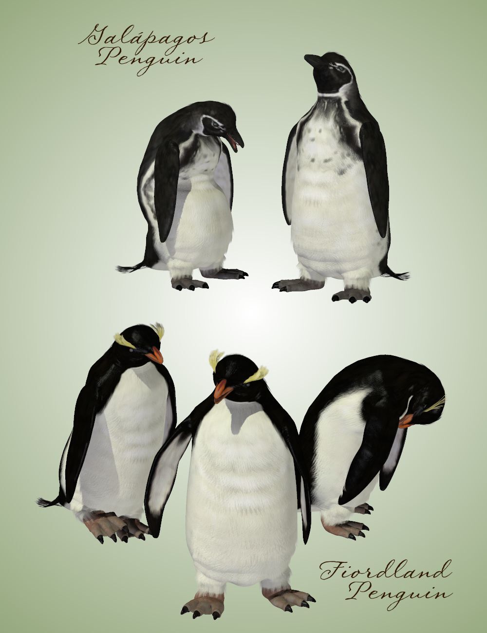 Songbird ReMix Penguins by N/A