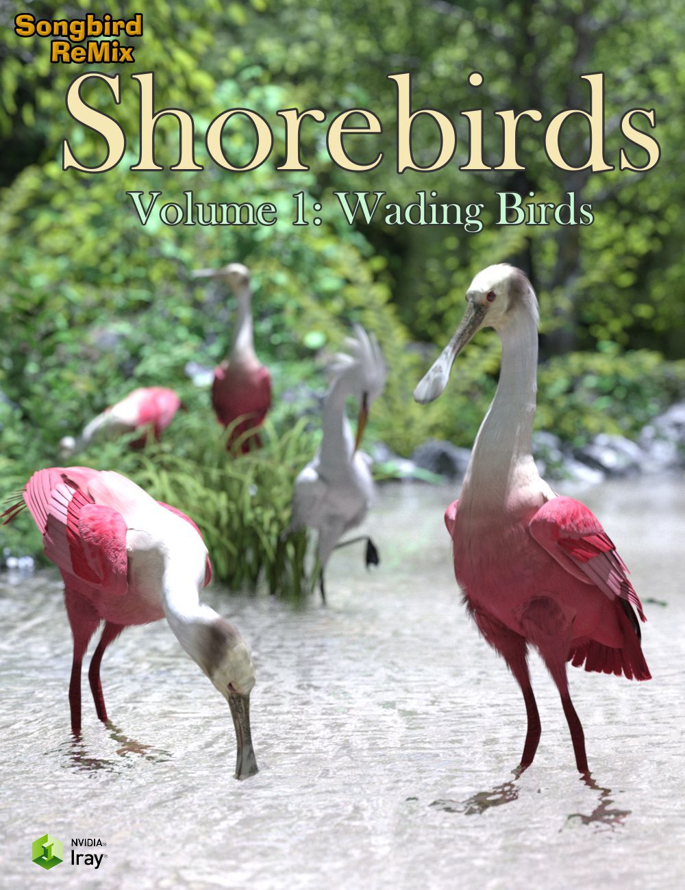 Songbird ReMix Shorebirds Vol 1 - Wading Birds by N/A