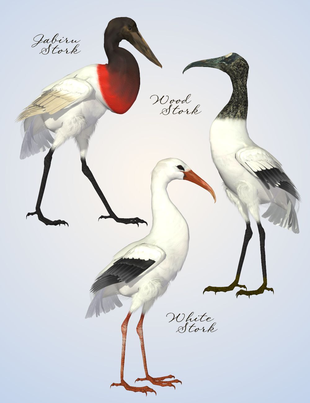 Songbird ReMix Shorebirds Vol 1 - Wading Birds by N/A