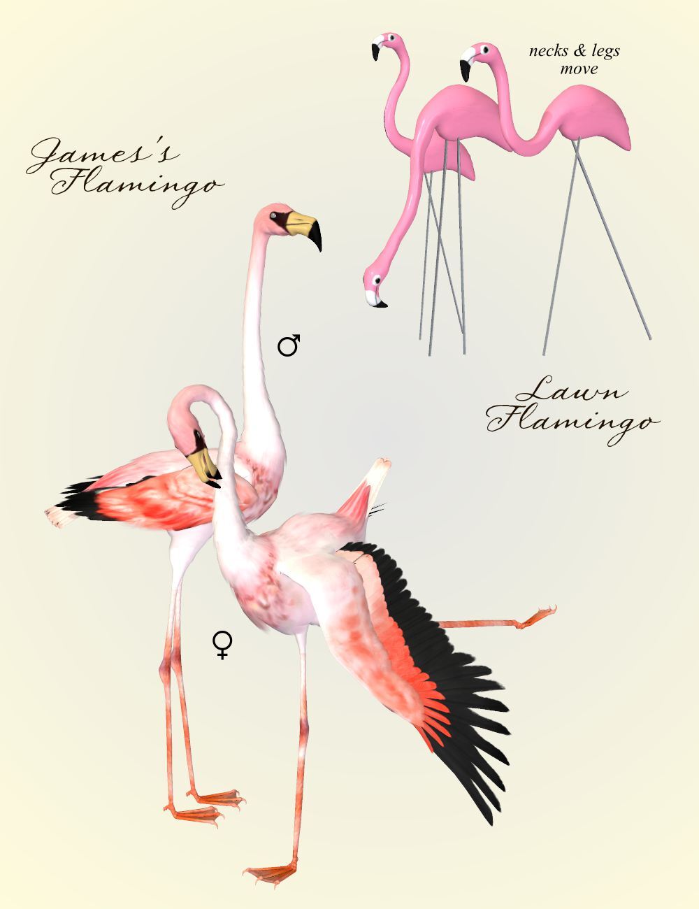 Songbird ReMix Flamingos by N/A