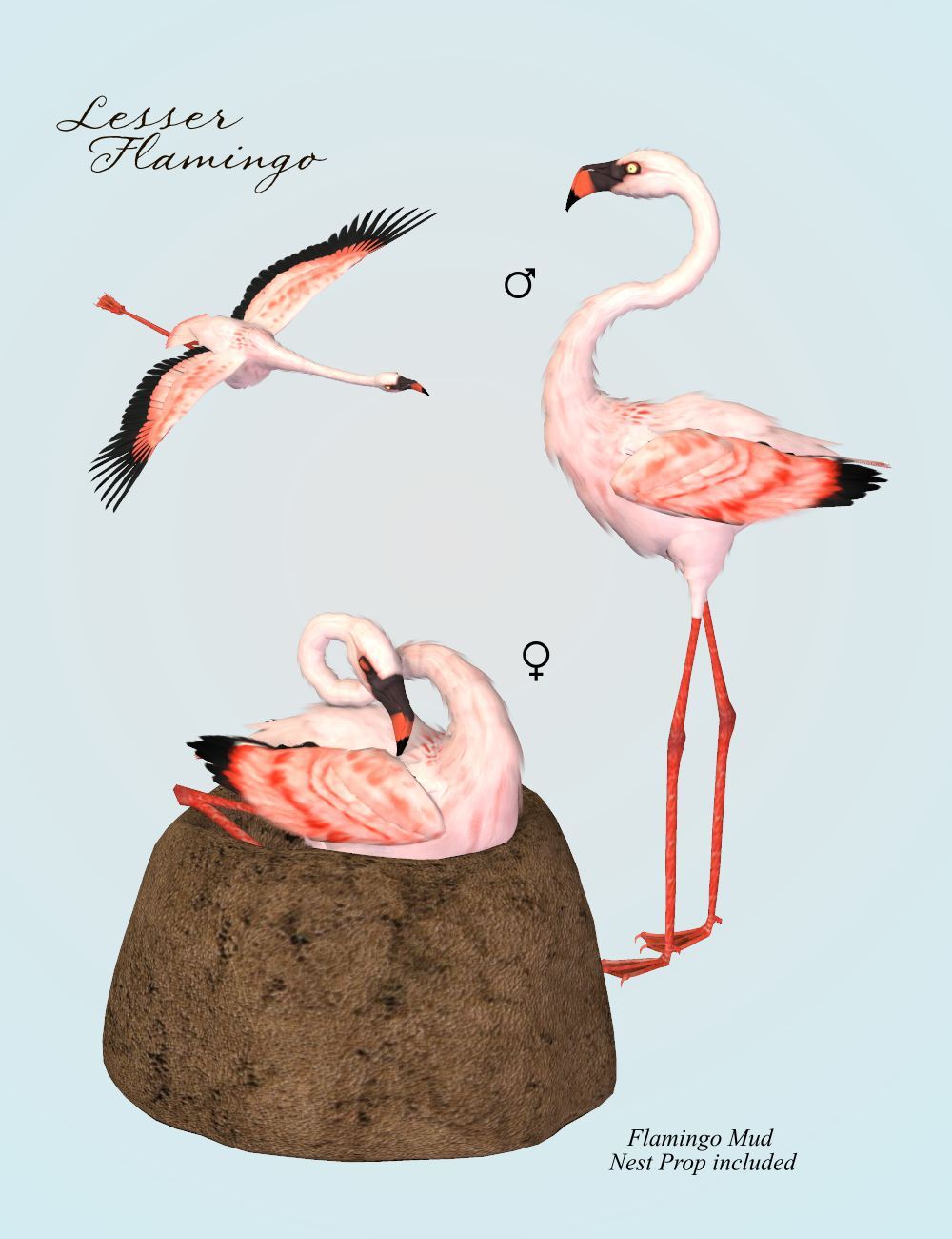Songbird ReMix Flamingos by N/A