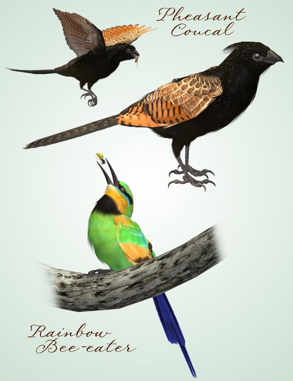 Songbird ReMix Australia Vol 1 by N/A
