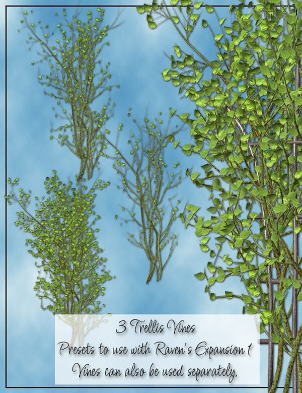 Lisa's Botanicals - Cottage Plants I by N/A