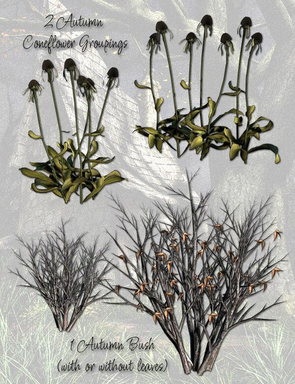 Lisa's Botanicals - Ravens Rest by N/A