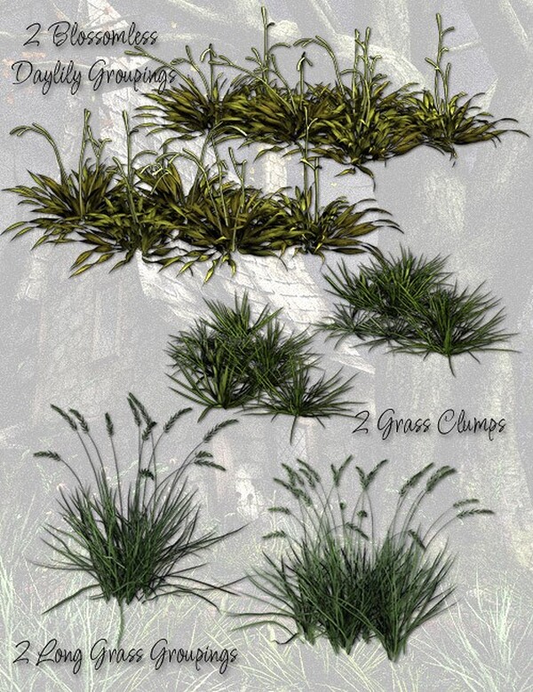 Lisa's Botanicals - Ravens Rest by N/A
