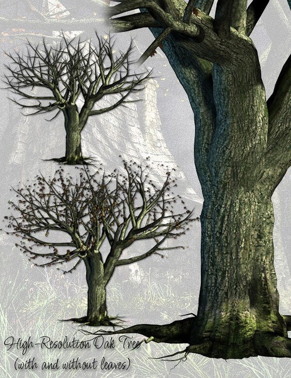 Lisa's Botanicals - Ravens Rest by N/A