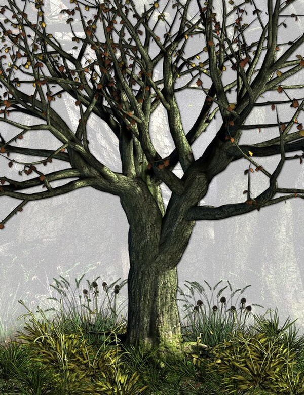 Lisa's Botanicals - Ravens Rest by N/A
