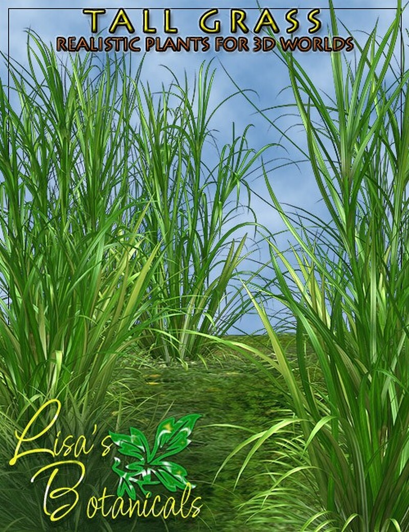 Lisa's Botanicals - Tall Grass by N/A