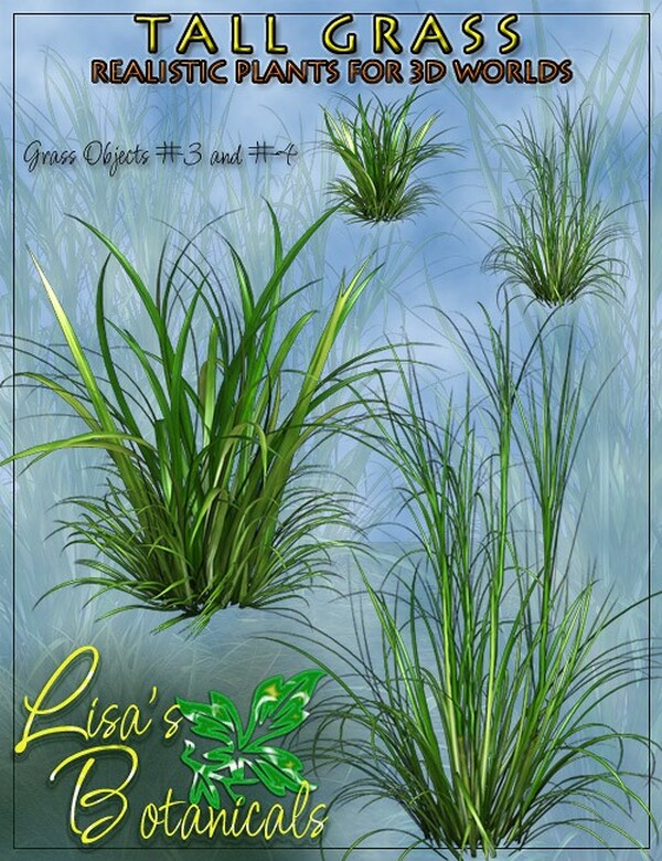 Lisa's Botanicals - Tall Grass by N/A