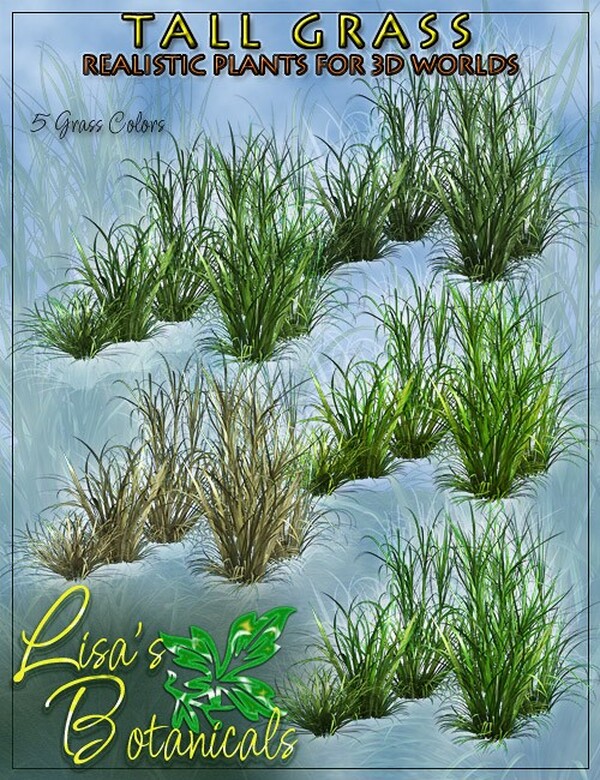 Lisa's Botanicals - Tall Grass by N/A