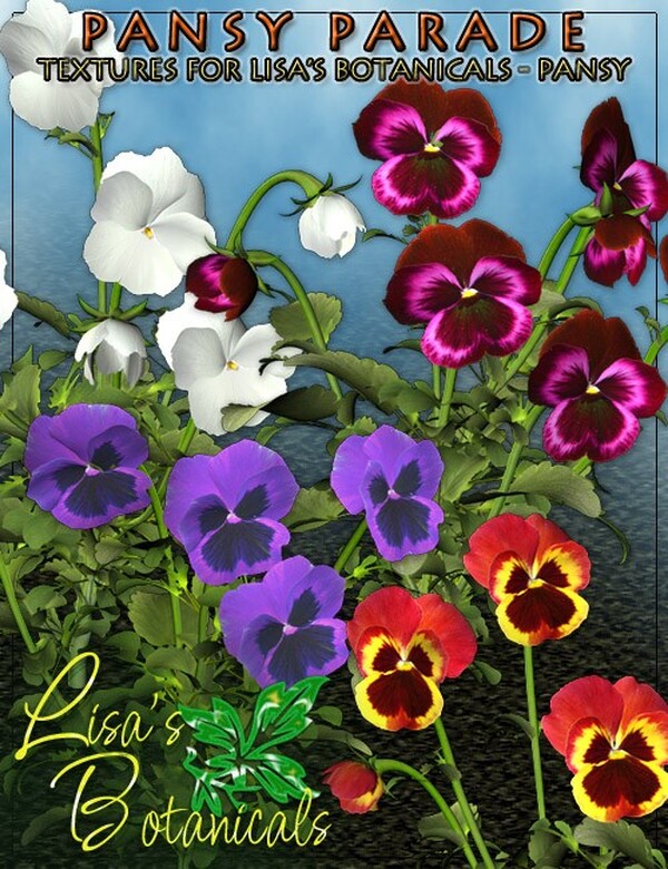 Lisa's Botanicals - Pansy Parade by N/A