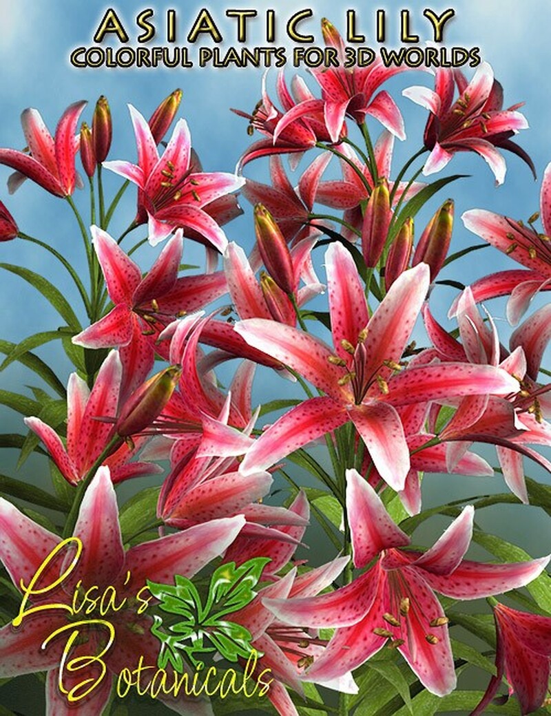 Lisa's Botanicals - Asiatic Lily by N/A