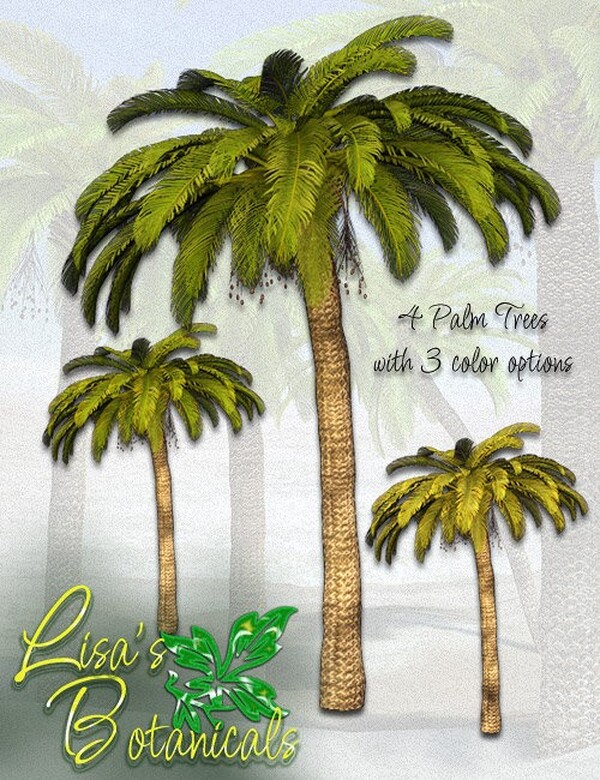 Lisa's Botanicals - Palm Trees by N/A
