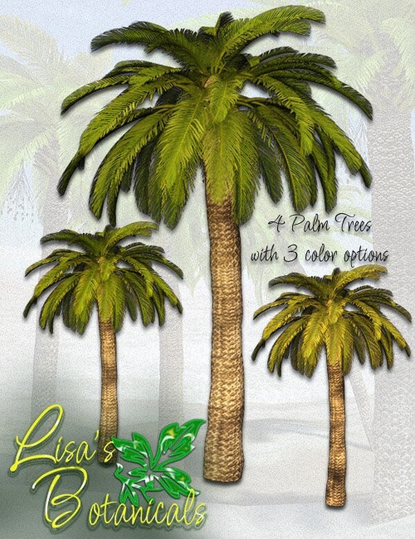 Lisa's Botanicals - Palm Trees by N/A
