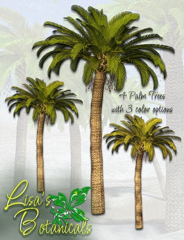 Lisa's Botanicals - Palm Trees by N/A