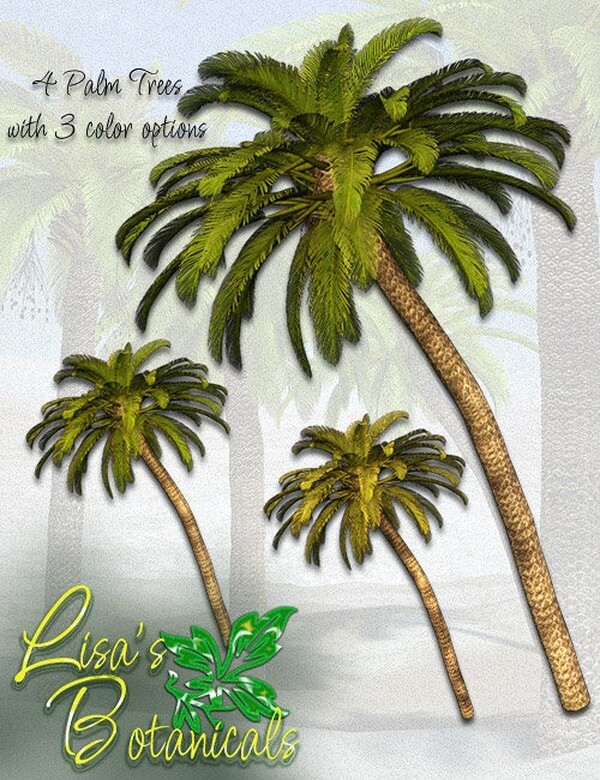 Lisa's Botanicals - Palm Trees by N/A