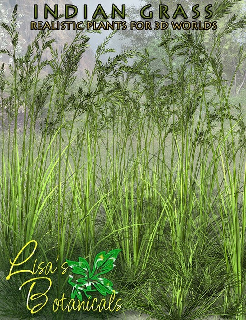 Lisa's Botanicals - Indian Grass by N/A