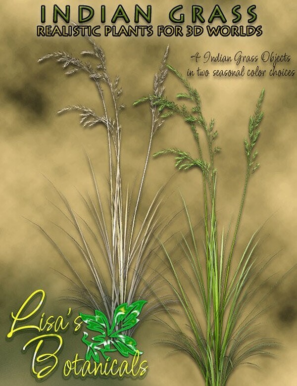 Lisa's Botanicals - Indian Grass by N/A