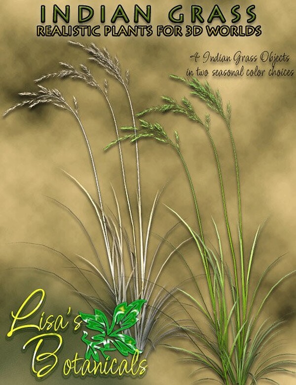 Lisa's Botanicals - Indian Grass by N/A