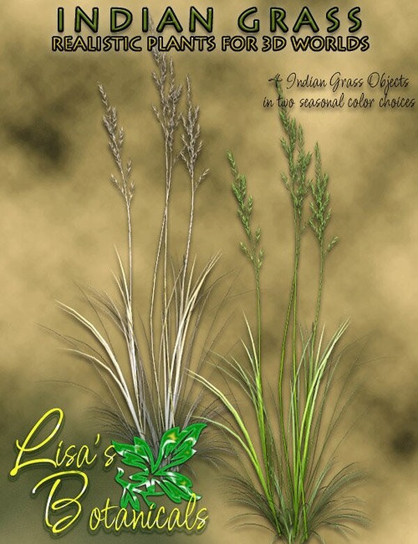 Lisa's Botanicals - Indian Grass by N/A