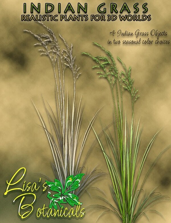 Lisa's Botanicals - Indian Grass by N/A