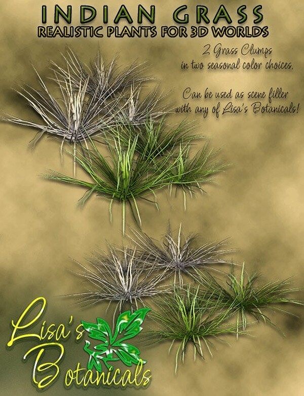 Lisa's Botanicals - Indian Grass by N/A