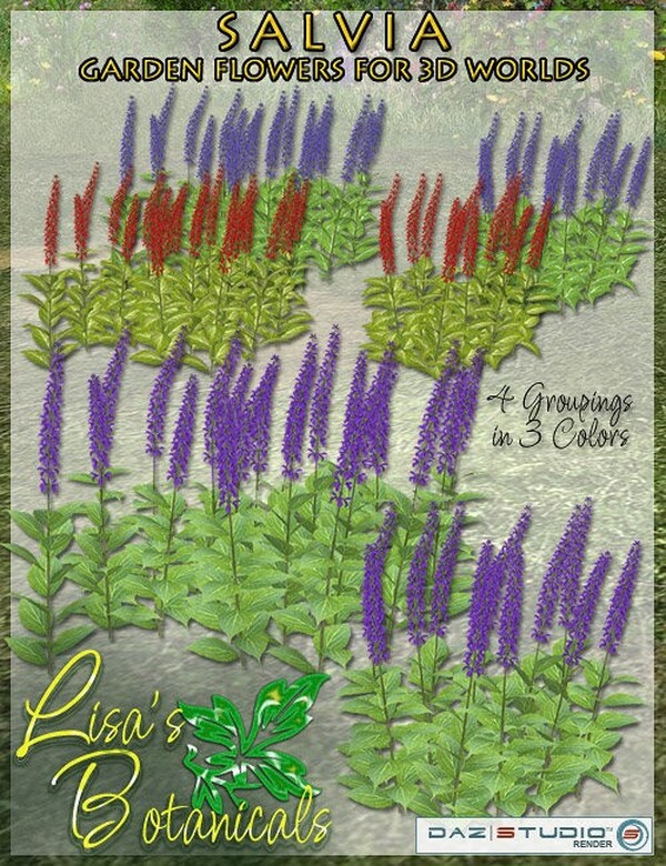 Lisa's Botanicals - Salvia by N/A