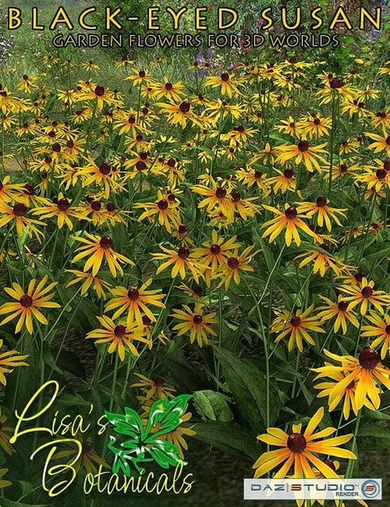 Lisa's Botanicals - Black-Eyed Susan by N/A