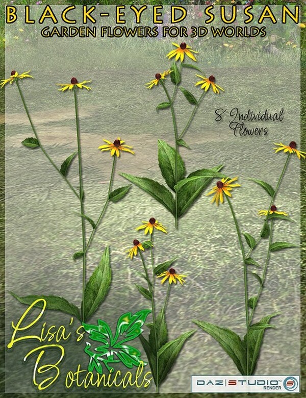 Lisa's Botanicals - Black-Eyed Susan by N/A