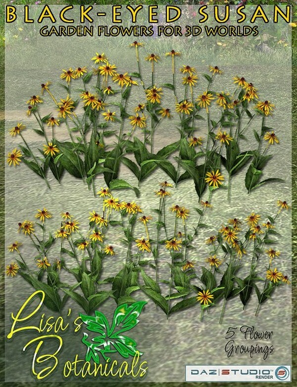 Lisa's Botanicals - Black-Eyed Susan by N/A
