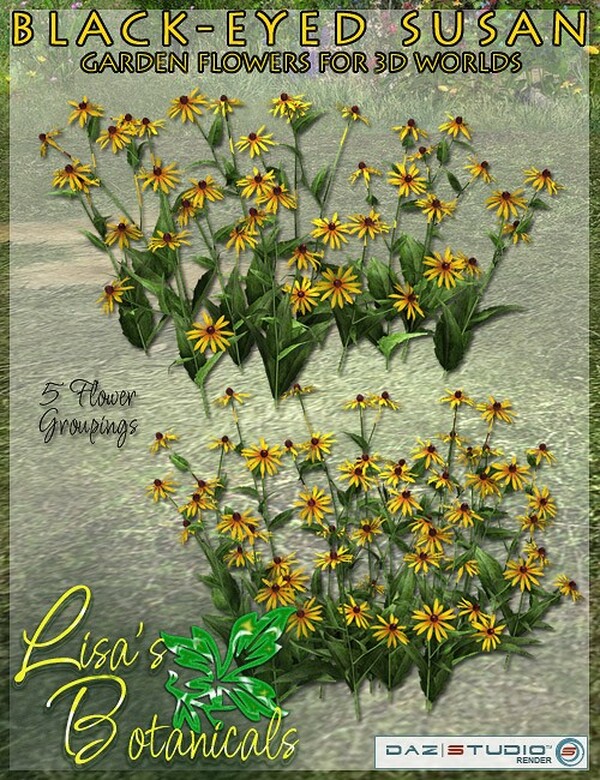 Lisa's Botanicals - Black-Eyed Susan by N/A