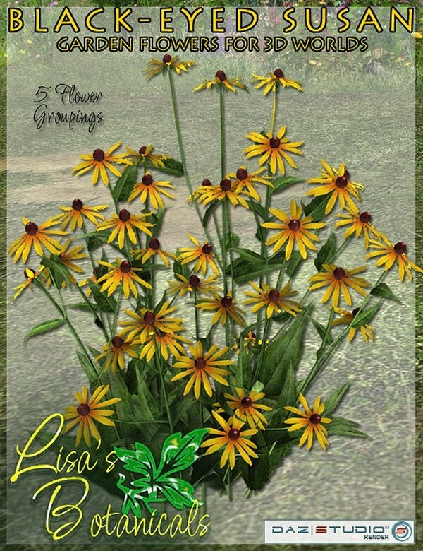 Lisa's Botanicals - Black-Eyed Susan by N/A