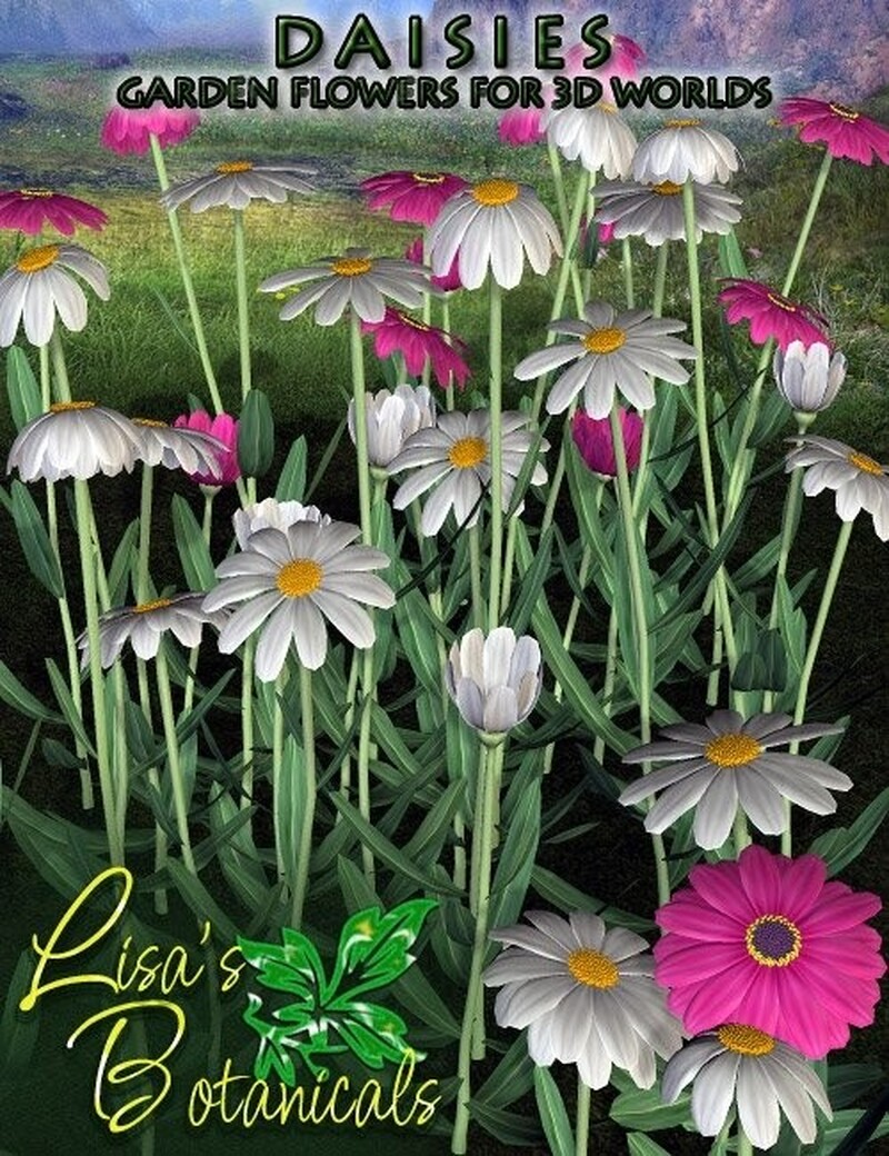 Lisa's Botanicals - Daisies by N/A