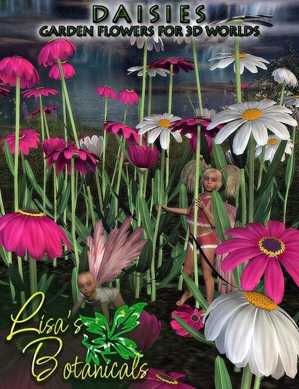 Lisa's Botanicals - Daisies by N/A