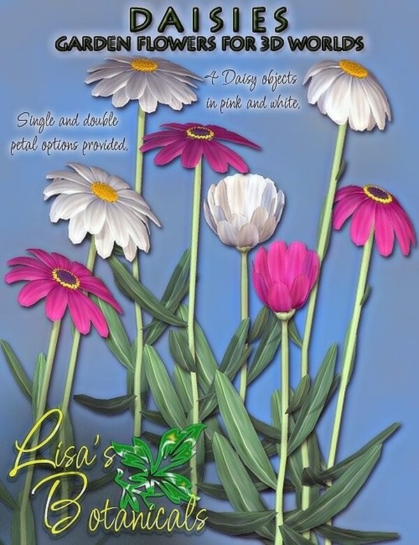 Lisa's Botanicals - Daisies by N/A