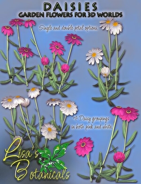 Lisa's Botanicals - Daisies by N/A