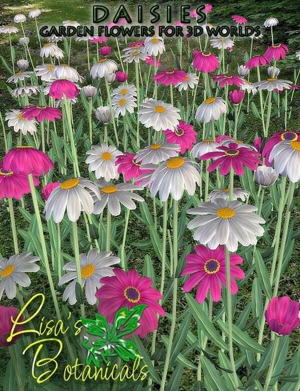 Lisa's Botanicals - Daisies by N/A