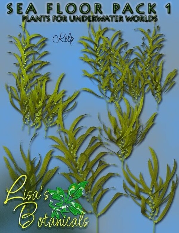 Lisa's Botanicals - Sea Floor Pack 1 by N/A