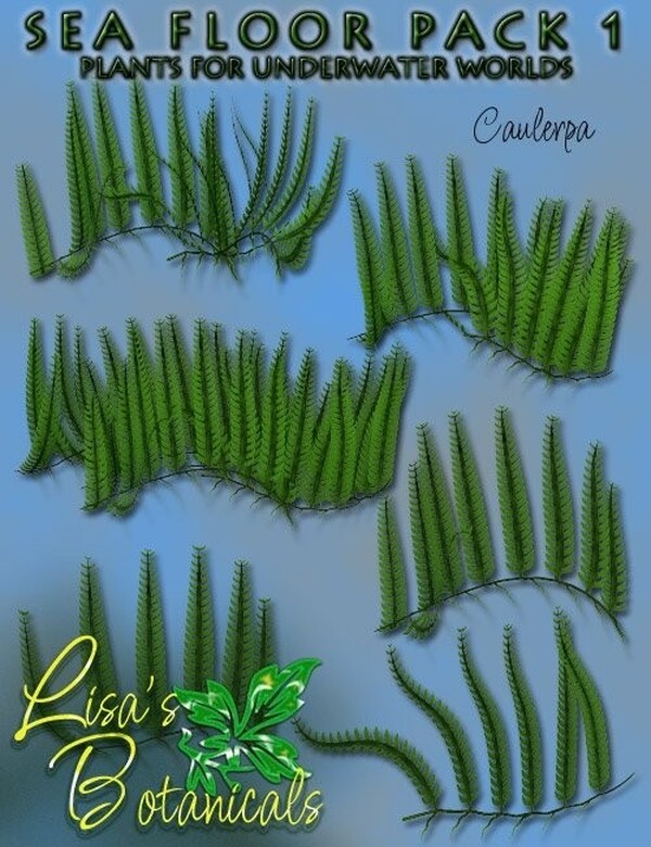 Lisa's Botanicals - Sea Floor Pack 1 by N/A